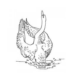 Dibujo para colorear: Cisne (Animales) #5015 - Dibujos para Colorear e Imprimir Gratis