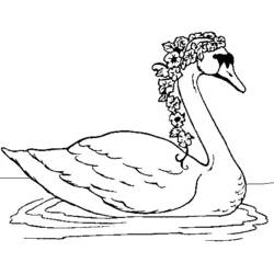 Dibujo para colorear: Cisne (Animales) #5026 - Dibujos para Colorear e Imprimir Gratis