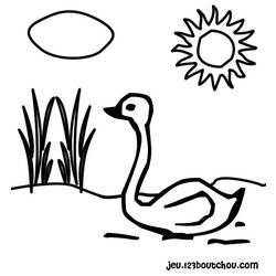 Dibujo para colorear: Cisne (Animales) #5042 - Dibujos para Colorear e Imprimir Gratis