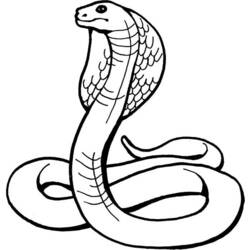 Dibujo para colorear: Cobra (Animales) #3223 - Dibujos para Colorear e Imprimir Gratis