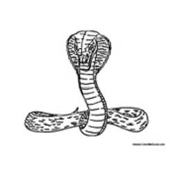 Dibujo para colorear: Cobra (Animales) #3225 - Dibujos para Colorear e Imprimir Gratis