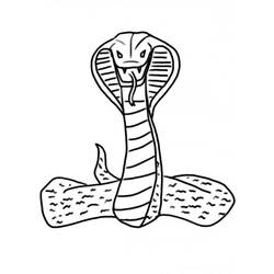 Dibujo para colorear: Cobra (Animales) #3228 - Dibujos para Colorear e Imprimir Gratis