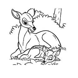 Dibujo para colorear: Coneja (Animales) #1092 - Dibujos para Colorear e Imprimir Gratis