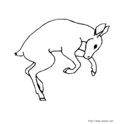 Dibujo para colorear: Coneja (Animales) #1100 - Dibujos para Colorear e Imprimir Gratis