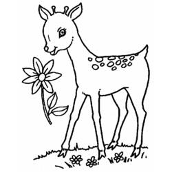 Dibujo para colorear: Coneja (Animales) #1101 - Dibujos para Colorear e Imprimir Gratis