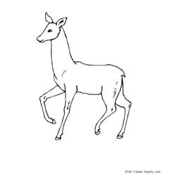 Dibujo para colorear: Coneja (Animales) #1102 - Dibujos para Colorear e Imprimir Gratis