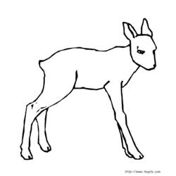 Dibujo para colorear: Coneja (Animales) #1115 - Dibujos para Colorear e Imprimir Gratis