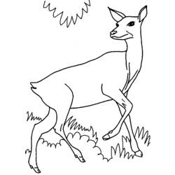 Dibujo para colorear: Coneja (Animales) #1133 - Dibujos para Colorear e Imprimir Gratis
