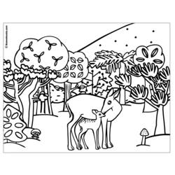 Dibujo para colorear: Coneja (Animales) #1139 - Dibujos para Colorear e Imprimir Gratis
