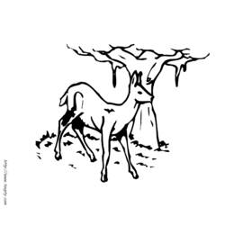 Dibujo para colorear: Coneja (Animales) #1140 - Dibujos para Colorear e Imprimir Gratis