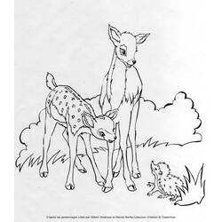 Dibujo para colorear: Coneja (Animales) #1155 - Dibujos para Colorear e Imprimir Gratis