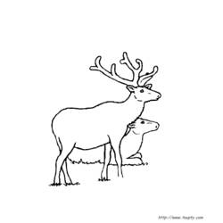 Dibujo para colorear: Coneja (Animales) #1157 - Dibujos para Colorear e Imprimir Gratis