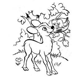 Dibujo para colorear: Coneja (Animales) #1172 - Dibujos para Colorear e Imprimir Gratis