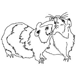 Dibujo para colorear: Conejillo de Indias (Animales) #18500 - Dibujos para Colorear e Imprimir Gratis