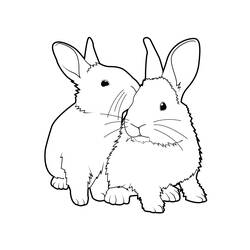Dibujo para colorear: Conejo (Animales) #9503 - Dibujos para Colorear e Imprimir Gratis