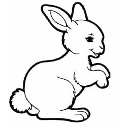 Dibujo para colorear: Conejo (Animales) #9505 - Dibujos para Colorear e Imprimir Gratis