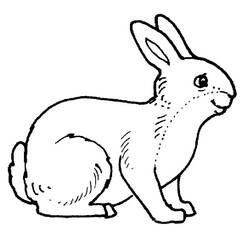 Dibujo para colorear: Conejo (Animales) #9506 - Dibujos para Colorear e Imprimir Gratis
