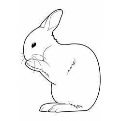 Dibujo para colorear: Conejo (Animales) #9554 - Dibujos para Colorear e Imprimir Gratis