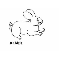 Dibujo para colorear: Conejo (Animales) #9587 - Dibujos para Colorear e Imprimir Gratis