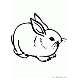 Dibujo para colorear: Conejo (Animales) #9610 - Dibujos para Colorear e Imprimir Gratis