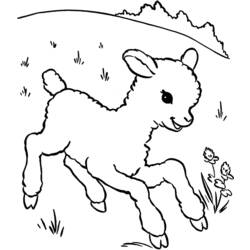 Dibujo para colorear: Cordero (Animales) #198 - Dibujos para Colorear e Imprimir Gratis