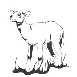 Dibujo para colorear: Cordero (Animales) #245 - Dibujos para Colorear e Imprimir Gratis