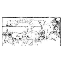 Dibujo para colorear: Cordero (Animales) #269 - Dibujos para Colorear e Imprimir Gratis