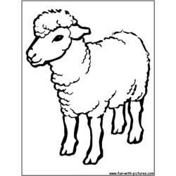 Dibujo para colorear: Cordero (Animales) #272 - Dibujos para Colorear e Imprimir Gratis
