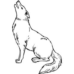 Dibujos para colorear: Coyote - Dibujos para Colorear e Imprimir Gratis