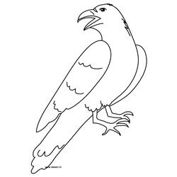 Dibujo para colorear: Cuervo (Animales) #4289 - Dibujos para Colorear e Imprimir Gratis