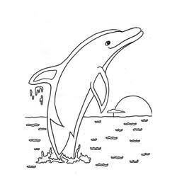 Dibujo para colorear: Delfín (Animales) #5090 - Dibujos para Colorear e Imprimir Gratis