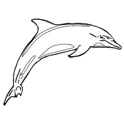 Dibujo para colorear: Delfín (Animales) #5099 - Dibujos para Colorear e Imprimir Gratis