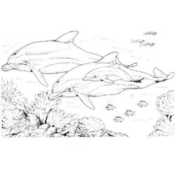 Dibujo para colorear: Delfín (Animales) #5107 - Dibujos para Colorear e Imprimir Gratis