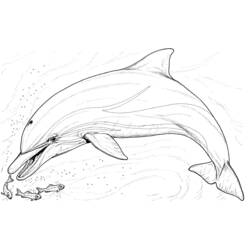 Dibujo para colorear: Delfín (Animales) #5108 - Dibujos para Colorear e Imprimir Gratis
