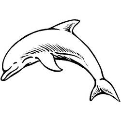 Dibujo para colorear: Delfín (Animales) #5120 - Dibujos para Colorear e Imprimir Gratis