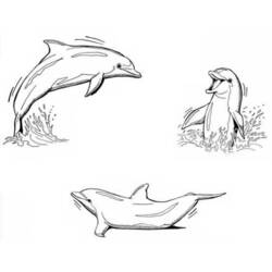 Dibujo para colorear: Delfín (Animales) #5126 - Dibujos para Colorear e Imprimir Gratis