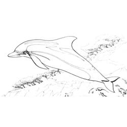 Dibujo para colorear: Delfín (Animales) #5140 - Dibujos para Colorear e Imprimir Gratis