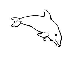 Dibujo para colorear: Delfín (Animales) #5161 - Dibujos para Colorear e Imprimir Gratis