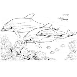 Dibujo para colorear: Delfín (Animales) #5168 - Dibujos para Colorear e Imprimir Gratis