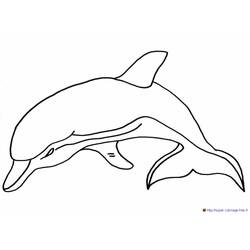 Dibujo para colorear: Delfín (Animales) #5186 - Dibujos para Colorear e Imprimir Gratis