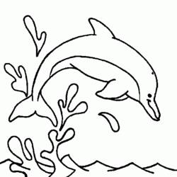Dibujo para colorear: Delfín (Animales) #5212 - Dibujos para Colorear e Imprimir Gratis