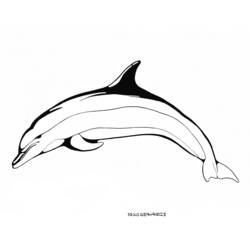 Dibujo para colorear: Delfín (Animales) #5220 - Dibujos para Colorear e Imprimir Gratis