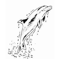 Dibujo para colorear: Delfín (Animales) #5246 - Dibujos para Colorear e Imprimir Gratis