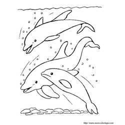 Dibujo para colorear: Delfín (Animales) #5251 - Dibujos para Colorear e Imprimir Gratis