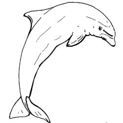 Dibujo para colorear: Delfín (Animales) #5272 - Dibujos para Colorear e Imprimir Gratis