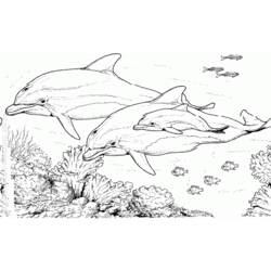 Dibujo para colorear: Delfín (Animales) #5284 - Dibujos para Colorear e Imprimir Gratis