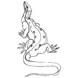Dibujo para colorear: Dragón (Animales) #5838 - Dibujos para Colorear e Imprimir Gratis