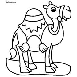Dibujo para colorear: Dromedario (Animales) #5916 - Dibujos para Colorear e Imprimir Gratis