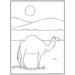 Dibujo para colorear: Dromedario (Animales) #5931 - Dibujos para Colorear e Imprimir Gratis