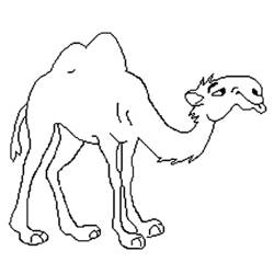 Dibujo para colorear: Dromedario (Animales) #5981 - Dibujos para Colorear e Imprimir Gratis